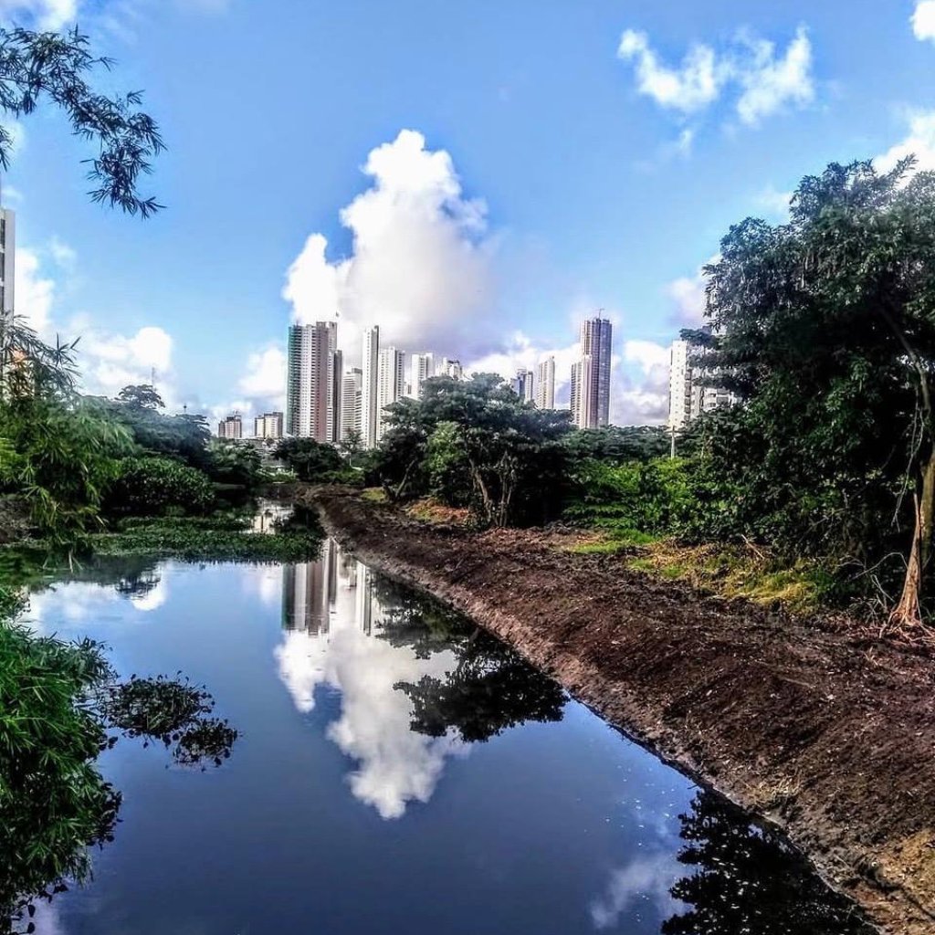 Prospeção Imobiliária